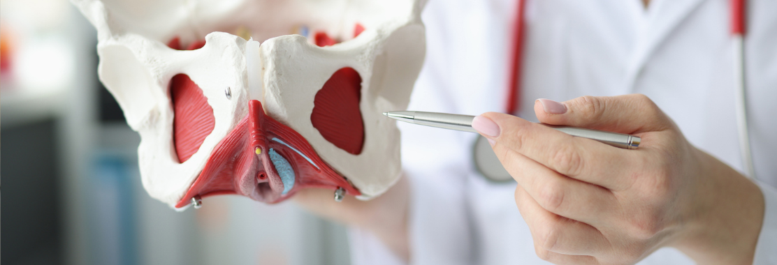 Fizjoterapia dna miednicy a fizykoterapia: wsparcie fizjoterapeuty w terapii mięśni dna miednicy